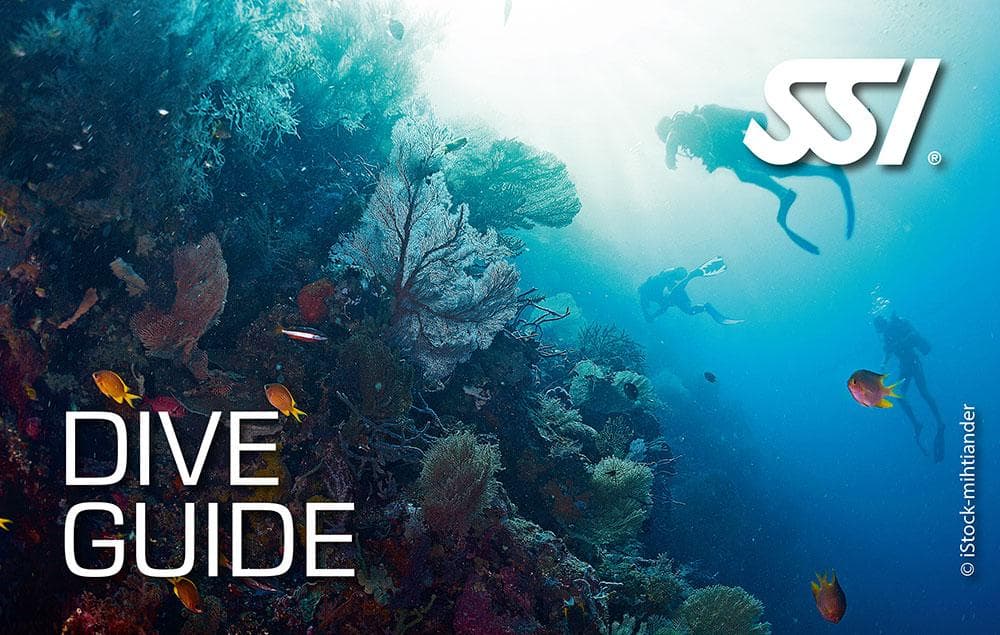 SSI Dive Guide