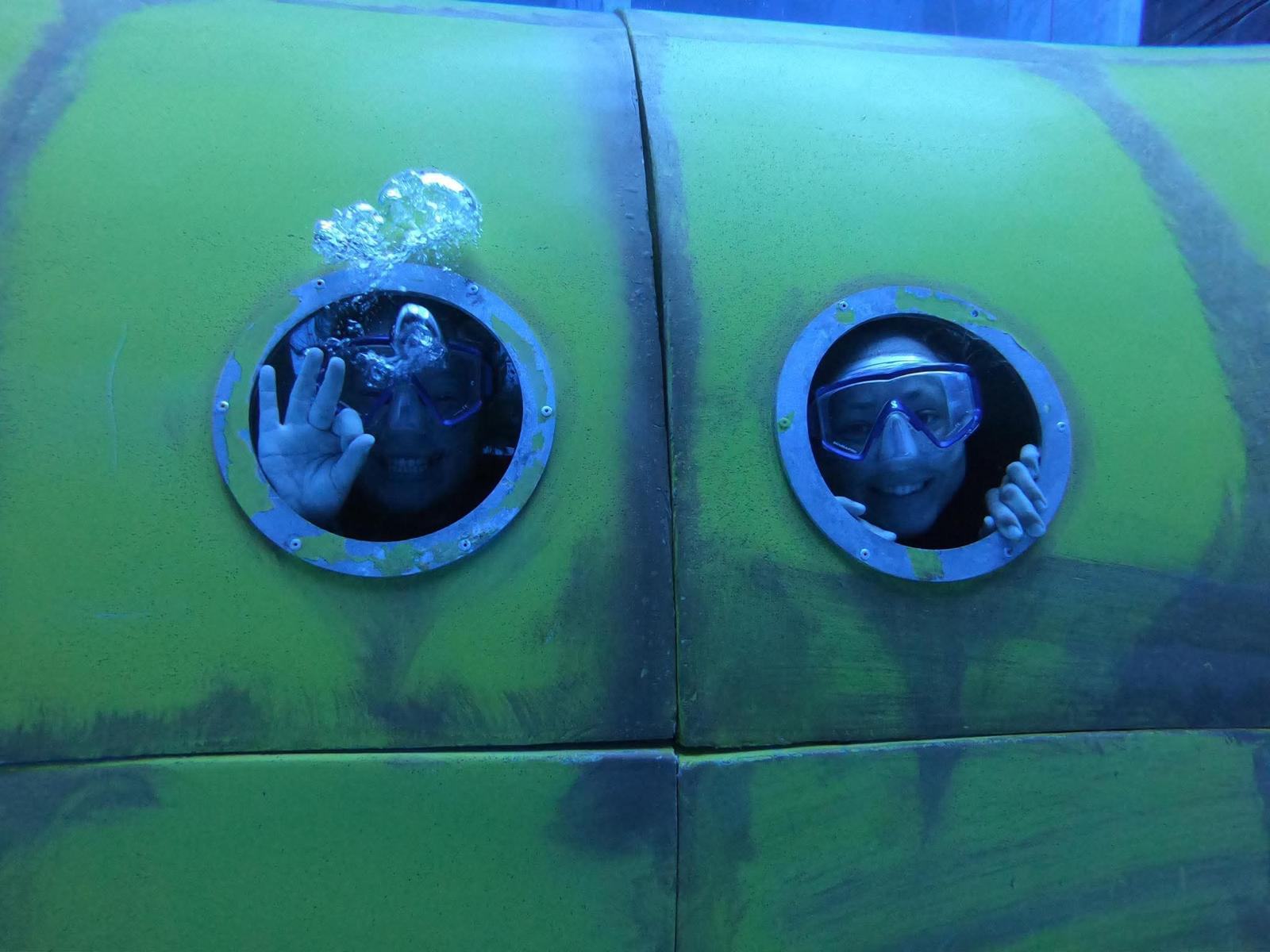 snorkelaars-patrijspoorten-ok-teken